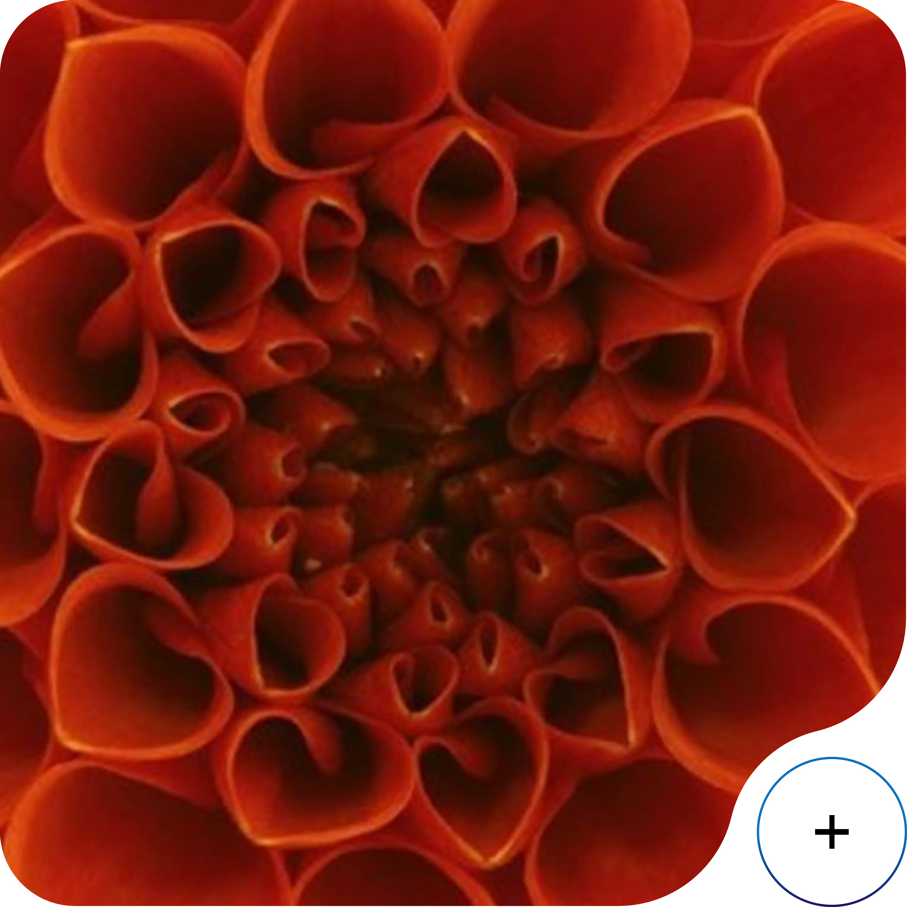 8d4e1f06-ebb0-4d96-9799-8d4b06d51383.webp