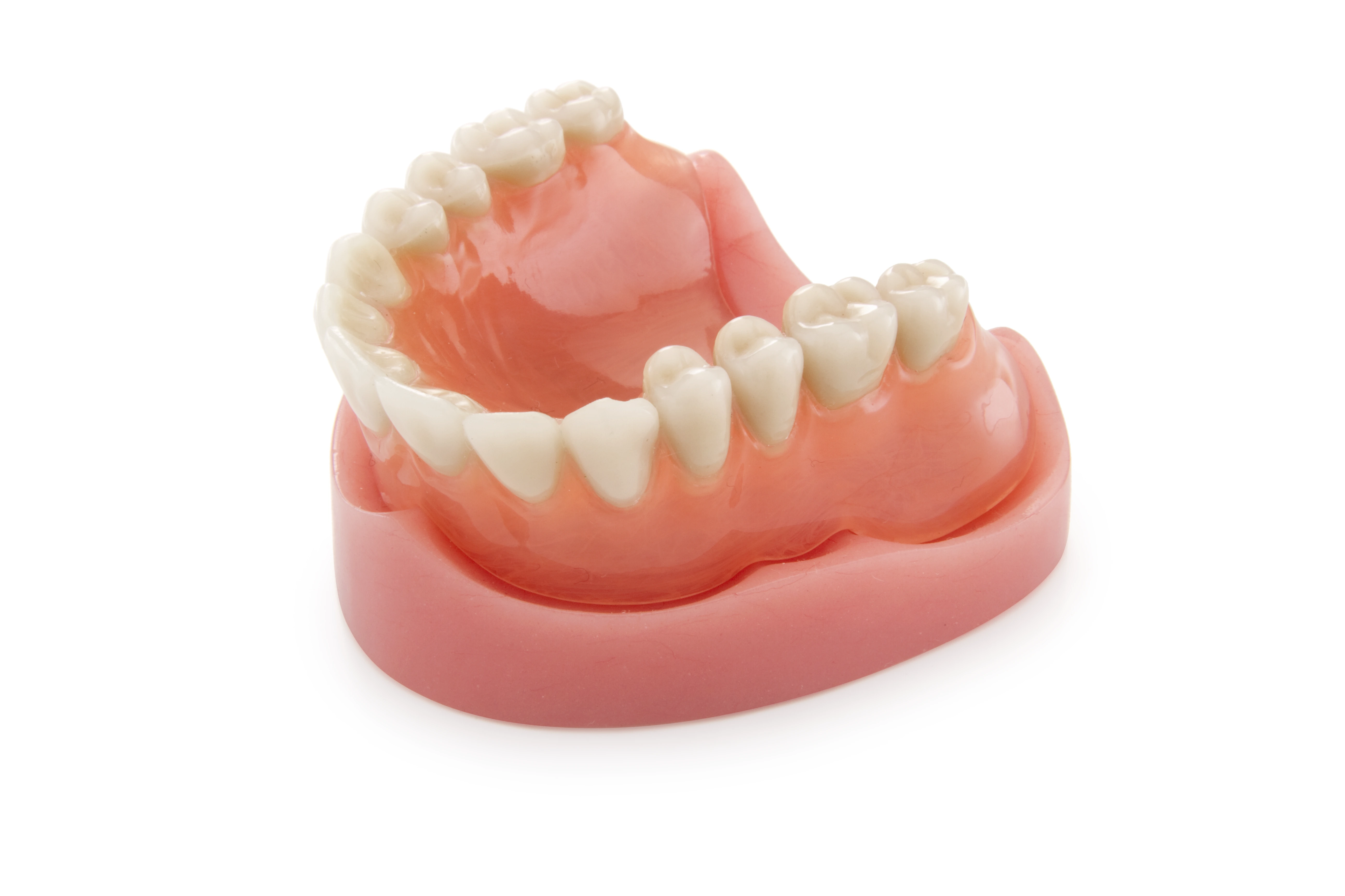 e7e80a12-c960-4385-824b-cffbc6180ef5.webp
