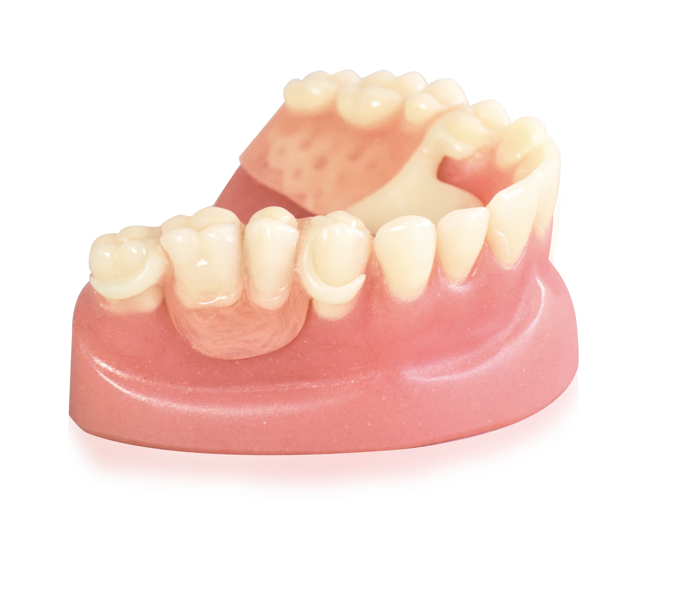 e93fce88-f617-4355-b918-ebd78f6306a9.webp